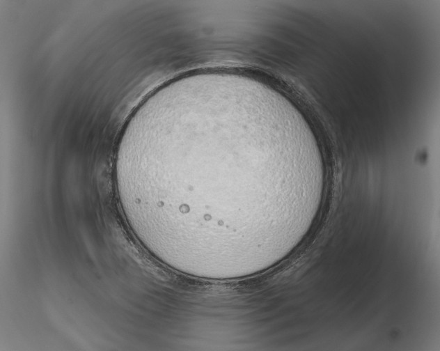 X0000116111409200912211623