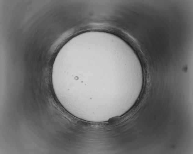 X0000116111411200912211623