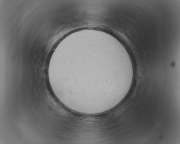 X0000116111412200912211623