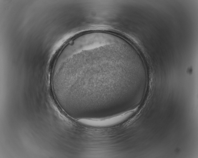 X0000116111414200912211623