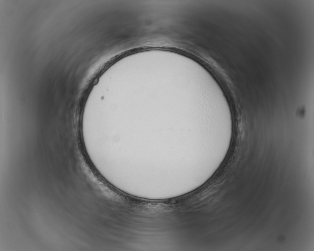 X0000116111416200912211623