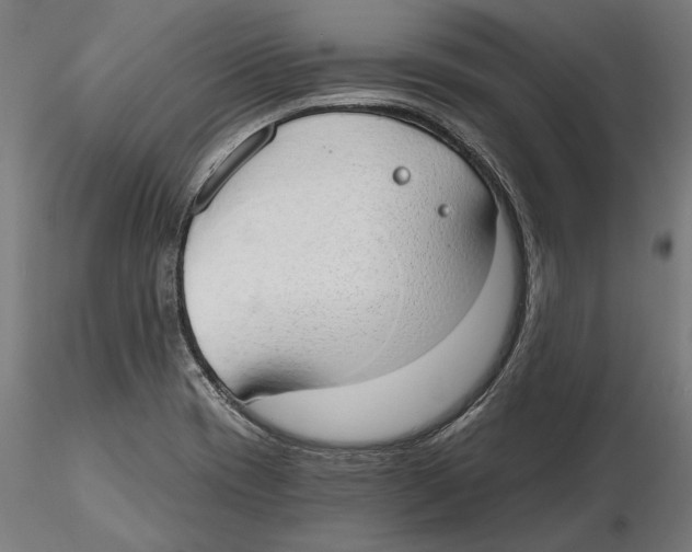 X0000116111417200912211623