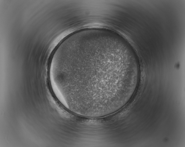 X0000116111418200912211623