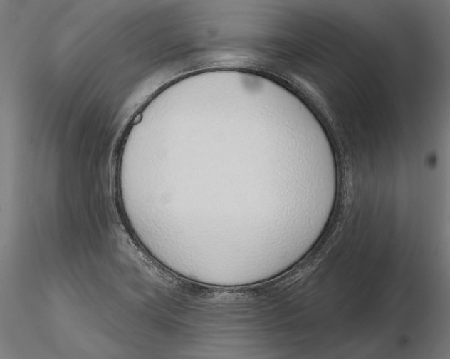 X0000116111419200912211623