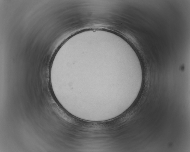 X0000116111420200912211623