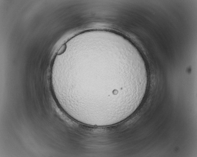 X0000116111421200912211623