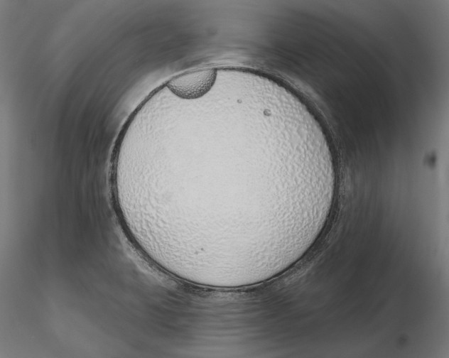 X0000116111423200912211623