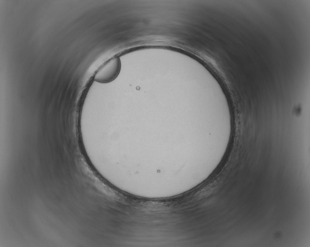 X0000116111424200912211623