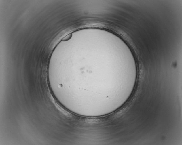 X0000116111425200912211623