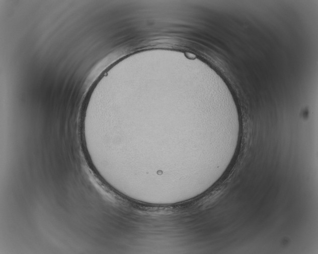 X0000116111426200912211623