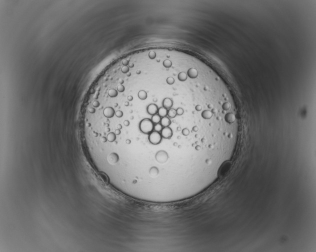 X0000116111427200912211623