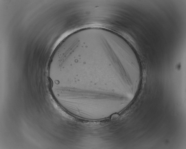 X0000116111428200912211623