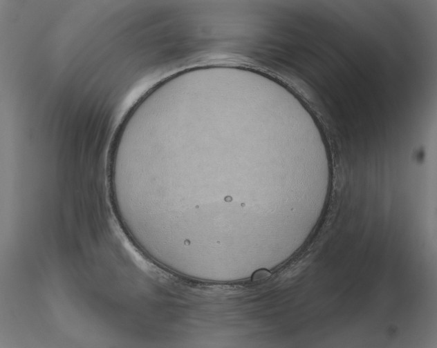 X0000116111430200912211623