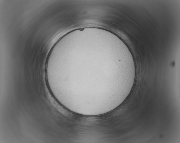 X0000116111431200912211623