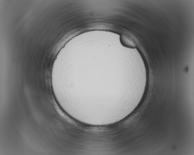 X0000116111433200912211623