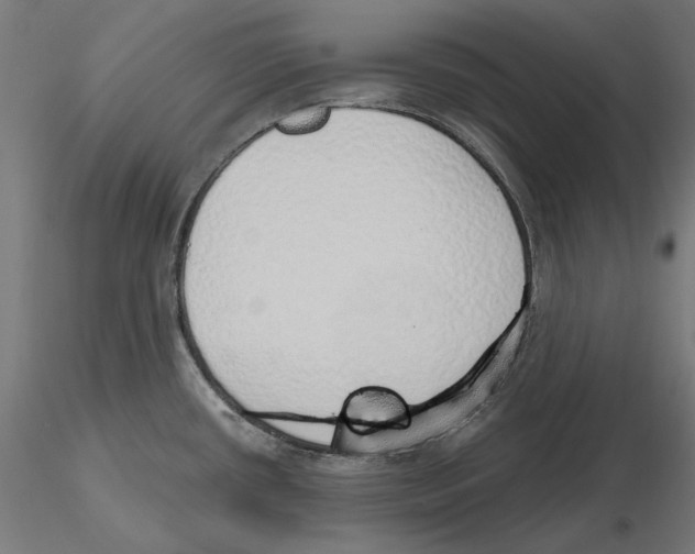 X0000116111434200912211623