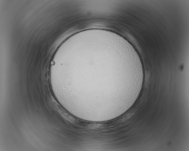 X0000116111435200912211623