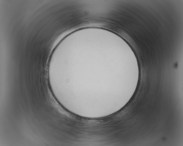 X0000116111436200912211623