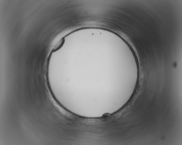 X0000116111437200912211623