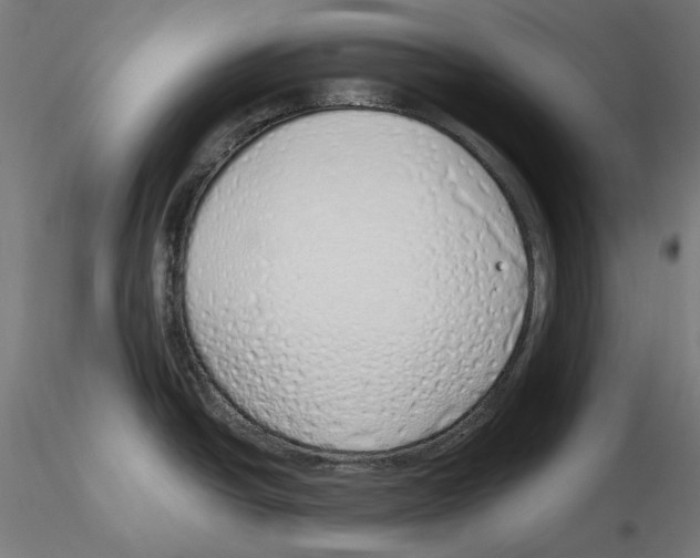 X0000116111438200912211623