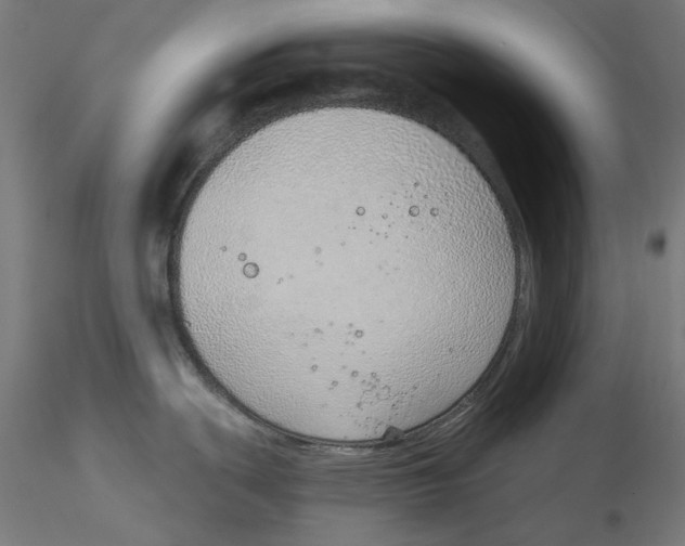 X0000116111439200912211623