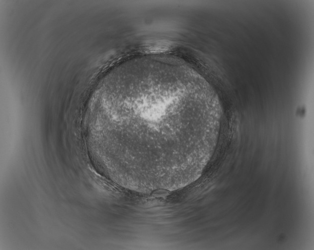 X0000116111441200912211623