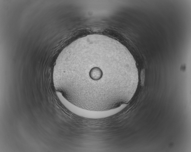 X0000116111443200912211623