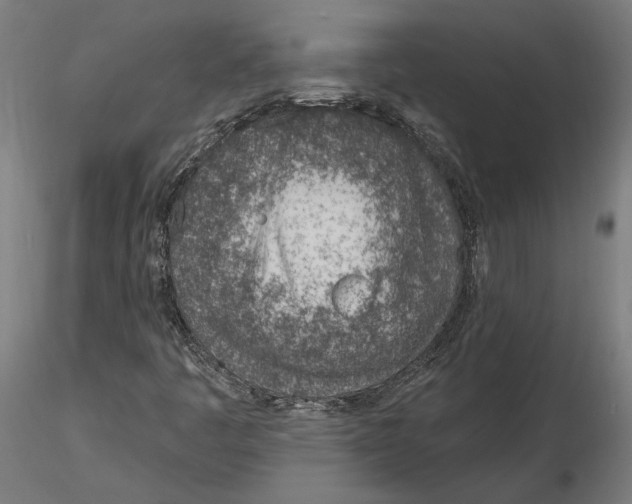 X0000116111445200912211623