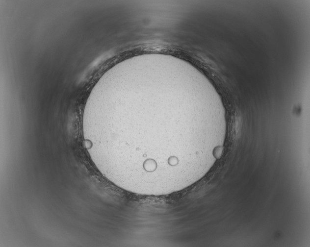 X0000116111446200912211623