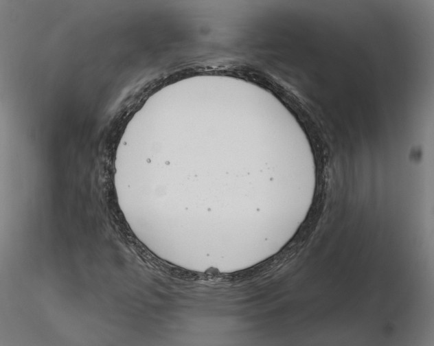 X0000116111447200912211623