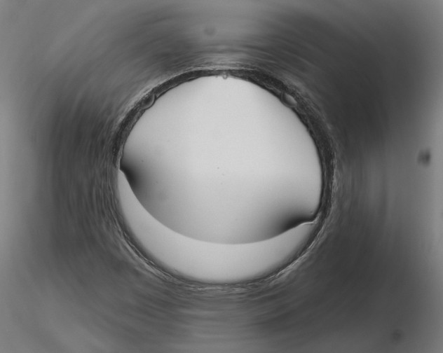 X0000116111449200912211623