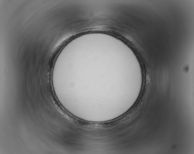 X0000116111450200912211623