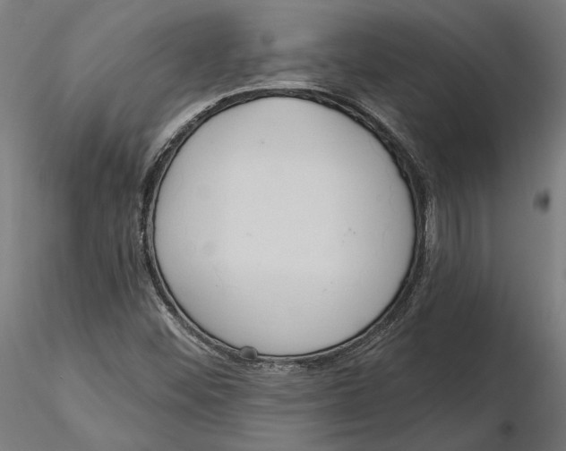 X0000116111452200912211622