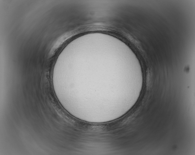 X0000116111453200912211622