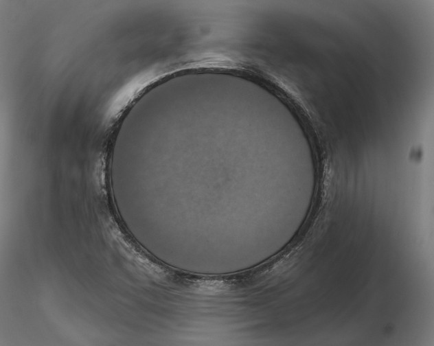 X0000116111455200912211622