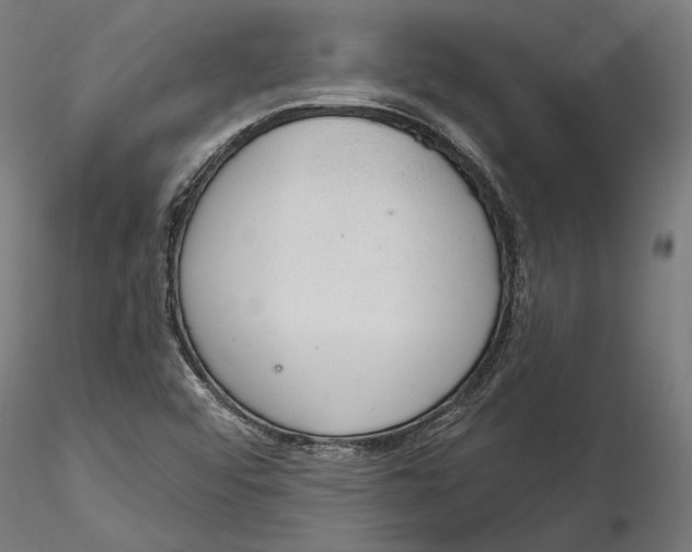 X0000116111456200912211622