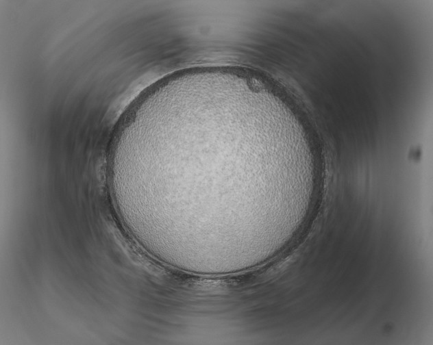 X0000116111457200912211622