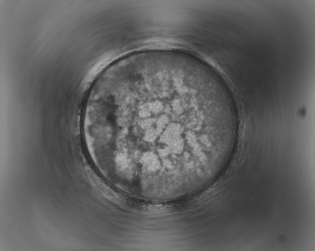 X0000116111459200912211622