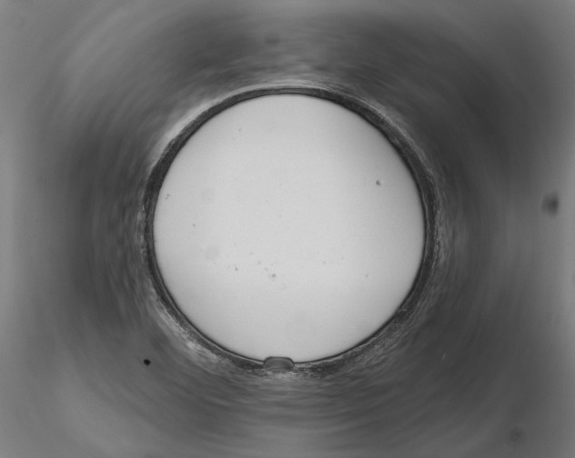 X0000116111460200912211622