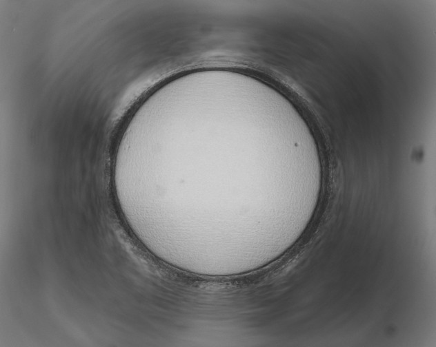 X0000116111461200912211622