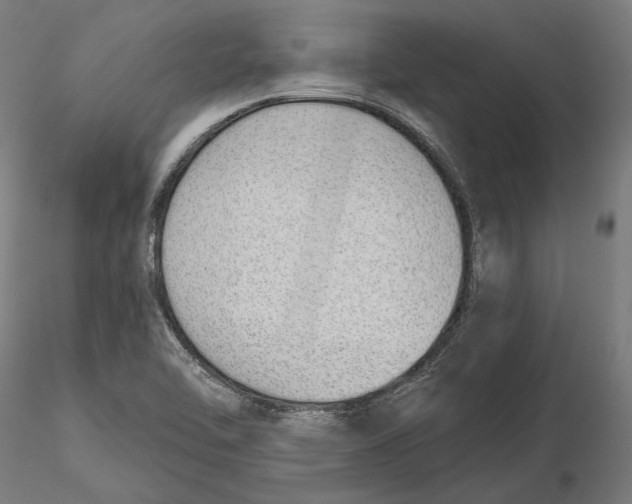 X0000116111462200912211622