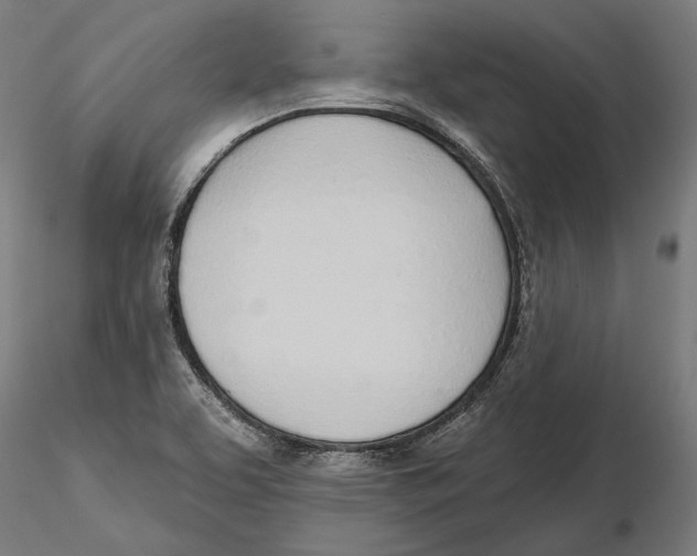 X0000116111463200912211622