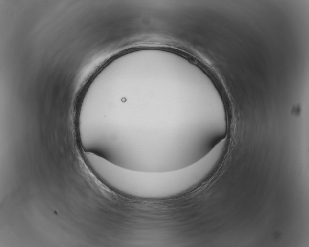 X0000116111464200912211622