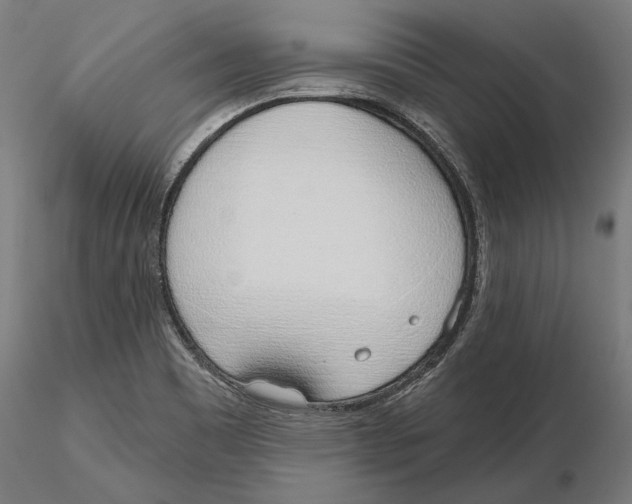 X0000116111465200912211622