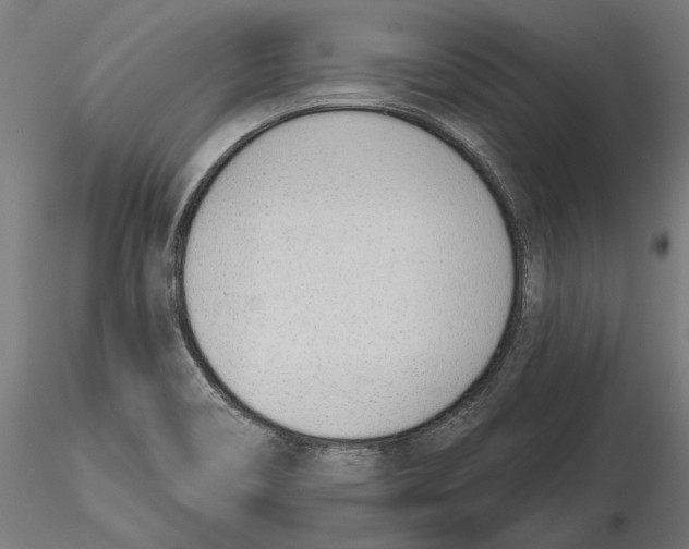 X0000116111466200912211622