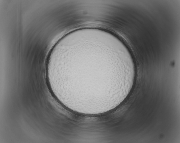 X0000116111467200912211622