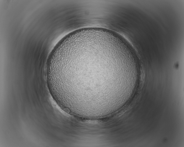 X0000116111468200912211622