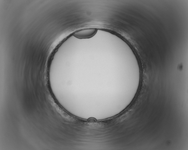 X0000116111469200912211622