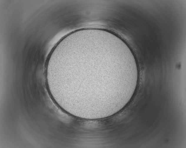 X0000116111470200912211622