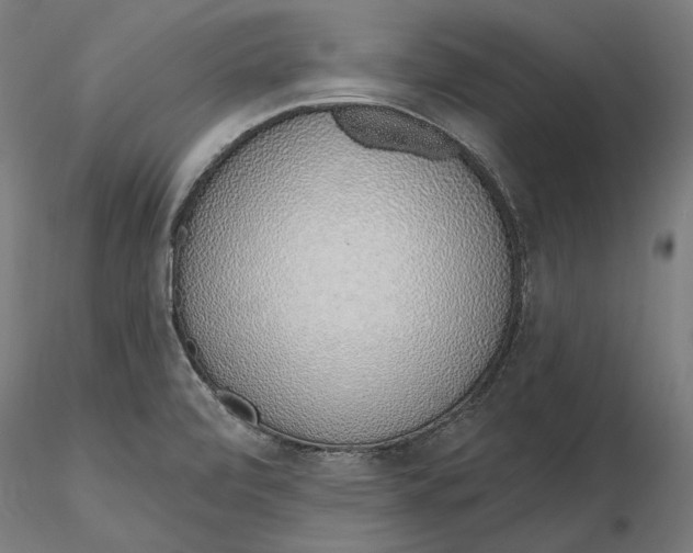 X0000116111472200912211622